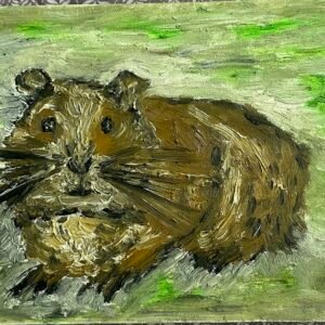 guinea pig