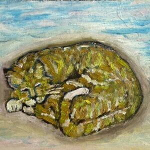 sleeping cat